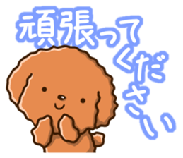 Polite Toy poodle sticker #12412120