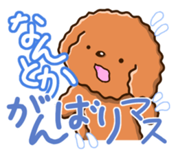 Polite Toy poodle sticker #12412121