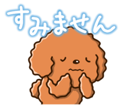 Polite Toy poodle sticker #12412123
