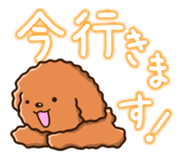 Polite Toy poodle sticker #12412130