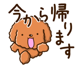 Polite Toy poodle sticker #12412131