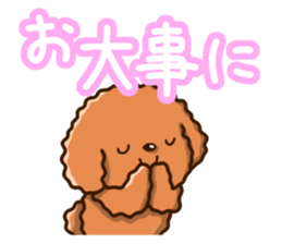 Polite Toy poodle sticker #12412134