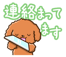 Polite Toy poodle sticker #12412136