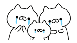 a lot of cute cat animation sticker #12413732