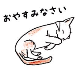 Dropy Eyes Animals sticker #12414211