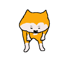 Shiba inu MOMO chan the third as well 22 sticker #12414241