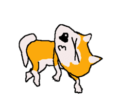 Shiba inu MOMO chan the third as well 22 sticker #12414247