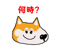 Shiba inu MOMO chan the third as well 22 sticker #12414263