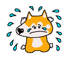 Shiba inu MOMO chan the third as well 22 sticker #12414264