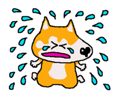 Shiba inu MOMO chan the third as well 22 sticker #12414265