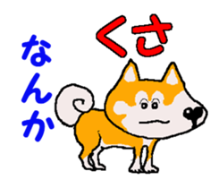 Shiba inu MOMO chan the third as well 22 sticker #12414268