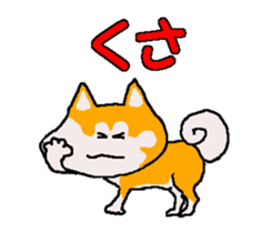 Shiba inu MOMO chan the third as well 22 sticker #12414269