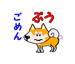 Shiba inu MOMO chan the third as well 22 sticker #12414273