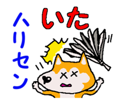 Shiba inu MOMO chan the third as well 22 sticker #12414274