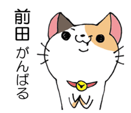 All for MAEDA sticker #12414402