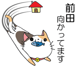 All for MAEDA sticker #12414405