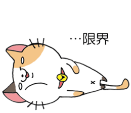 All for MAEDA sticker #12414434