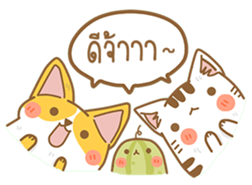 Cat Corgi Cucumber (Thai) sticker #12414990