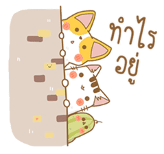 Cat Corgi Cucumber (Thai) sticker #12414992