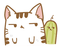 Cat Corgi Cucumber (Thai) sticker #12415005