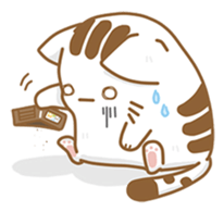 Cat Corgi Cucumber (Thai) sticker #12415008