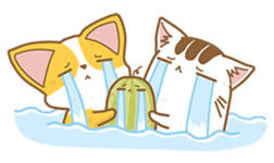 Cat Corgi Cucumber (Thai) sticker #12415026