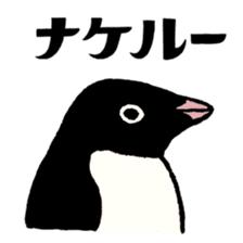 Hello Penguins! sticker #12416332