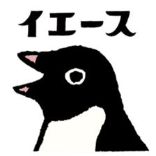 Hello Penguins! sticker #12416333