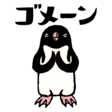 Hello Penguins! sticker #12416340