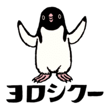 Hello Penguins! sticker #12416341