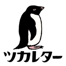 Hello Penguins! sticker #12416343