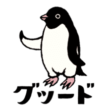 Hello Penguins! sticker #12416351