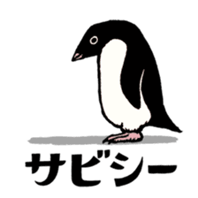 Hello Penguins! sticker #12416357
