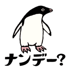 Hello Penguins! sticker #12416360