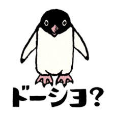 Hello Penguins! sticker #12416361