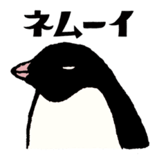 Hello Penguins! sticker #12416362