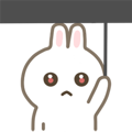 The Little cute Rabbit