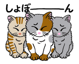 I am a cat.Thank you.10! sticker #12416901