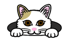 I am a cat.Thank you.10! sticker #12416902