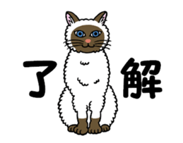 I am a cat.Thank you.10! sticker #12416906