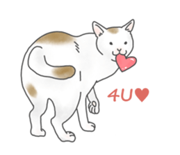 Lovely Cats! [ENG] sticker #12417630