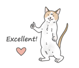 Lovely Cats! [ENG] sticker #12417631
