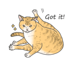 Lovely Cats! [ENG] sticker #12417632
