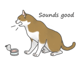 Lovely Cats! [ENG] sticker #12417635