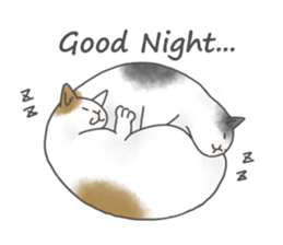 Lovely Cats! [ENG] sticker #12417645