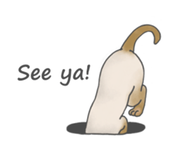 Lovely Cats! [ENG] sticker #12417646