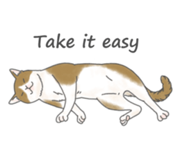 Lovely Cats! [ENG] sticker #12417651