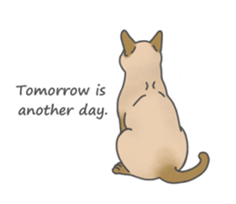 Lovely Cats! [ENG] sticker #12417652