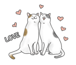 Lovely Cats! [ENG] sticker #12417663