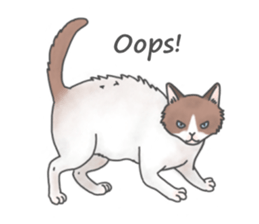 Lovely Cats! [ENG] sticker #12417664